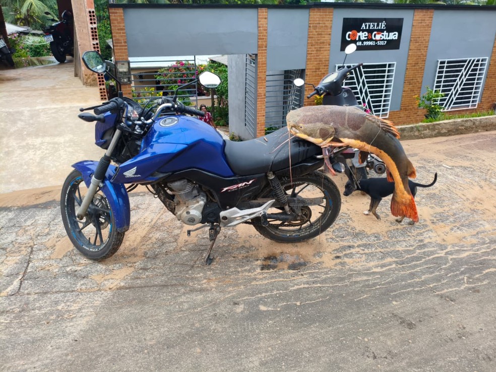 Boa parte da pirarara foi doada a famílias mais carentes — Foto: Arquivo pessoal