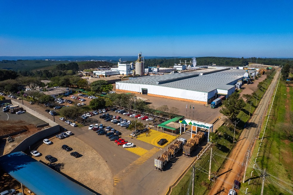 BrasPine emprega cerca de 1,1 mil funcionários em Telêmaco Borba (PR) — Foto: BrasPine/Divulgação