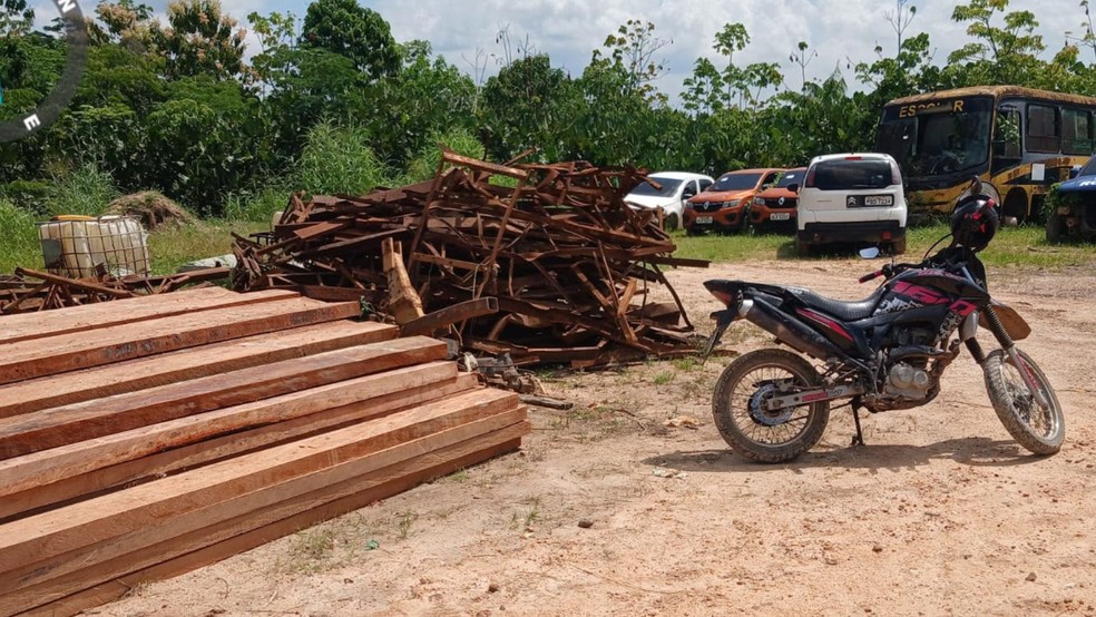 Operação identificou 20 pontos de desmatamento ilegal em reserva federal do Vale do Jari. — Foto: Polícia Civil/Divulgação