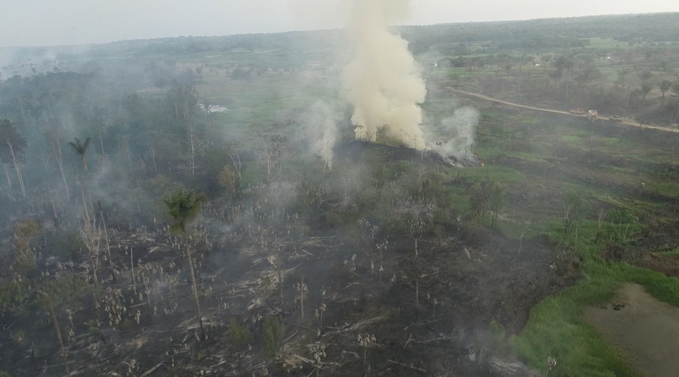 Incêndio atinge vegetação no distrito de Cacau Pirêra. — Foto: Alexandro Pereira/Rede Amazônica