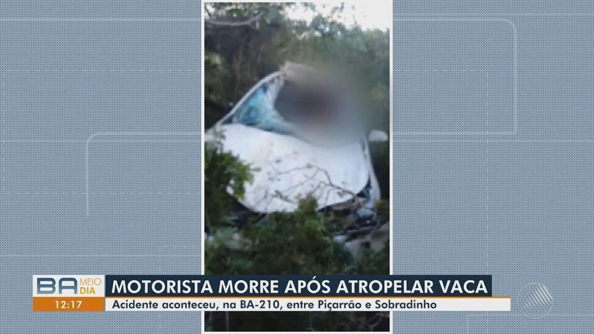 Engenheiro de 30 anos morre após atropelar vaca em rodovia na Bahia; carro ficou destruído 
