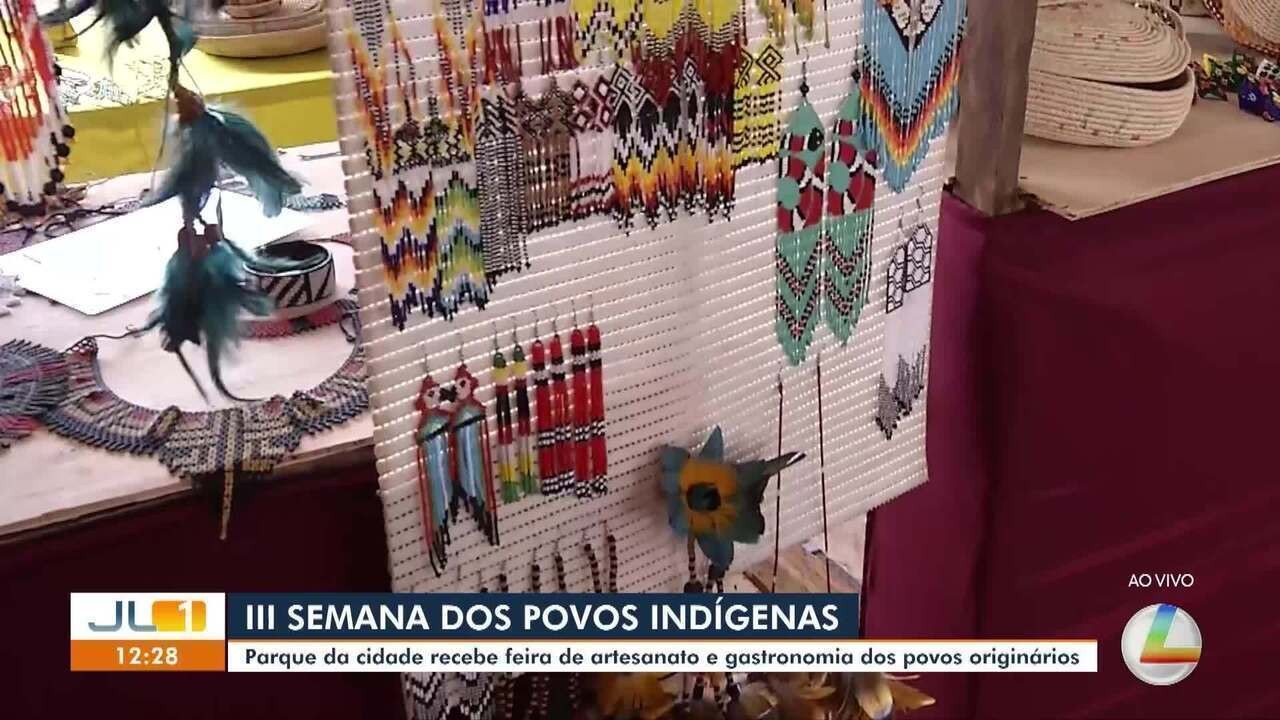 Da floresta à universidade: Conheça pesquisadores indígenas que produzem ciência a partir da conexão com saberes tradicionais