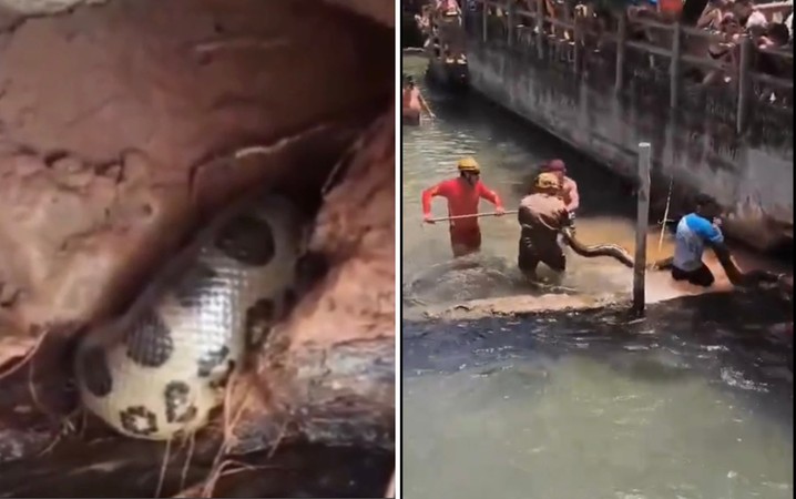 Sucuri é encontrada em balneário de Rio Quente e assusta banhistas; vídeo