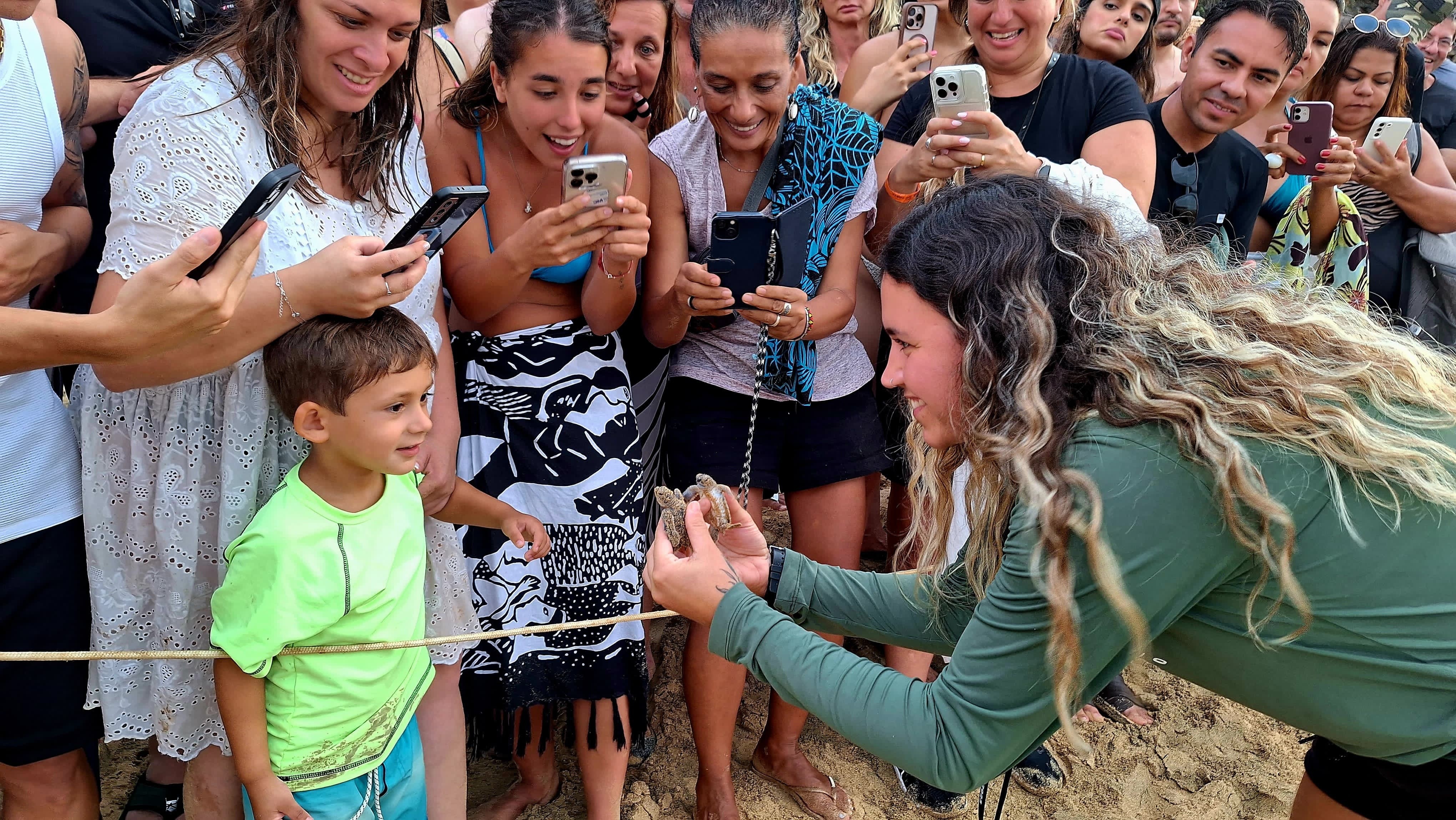 Tamar faz primeira abertura pública de ninho de tartaruga da temporada em Fernando de Noronha; VÍDEO