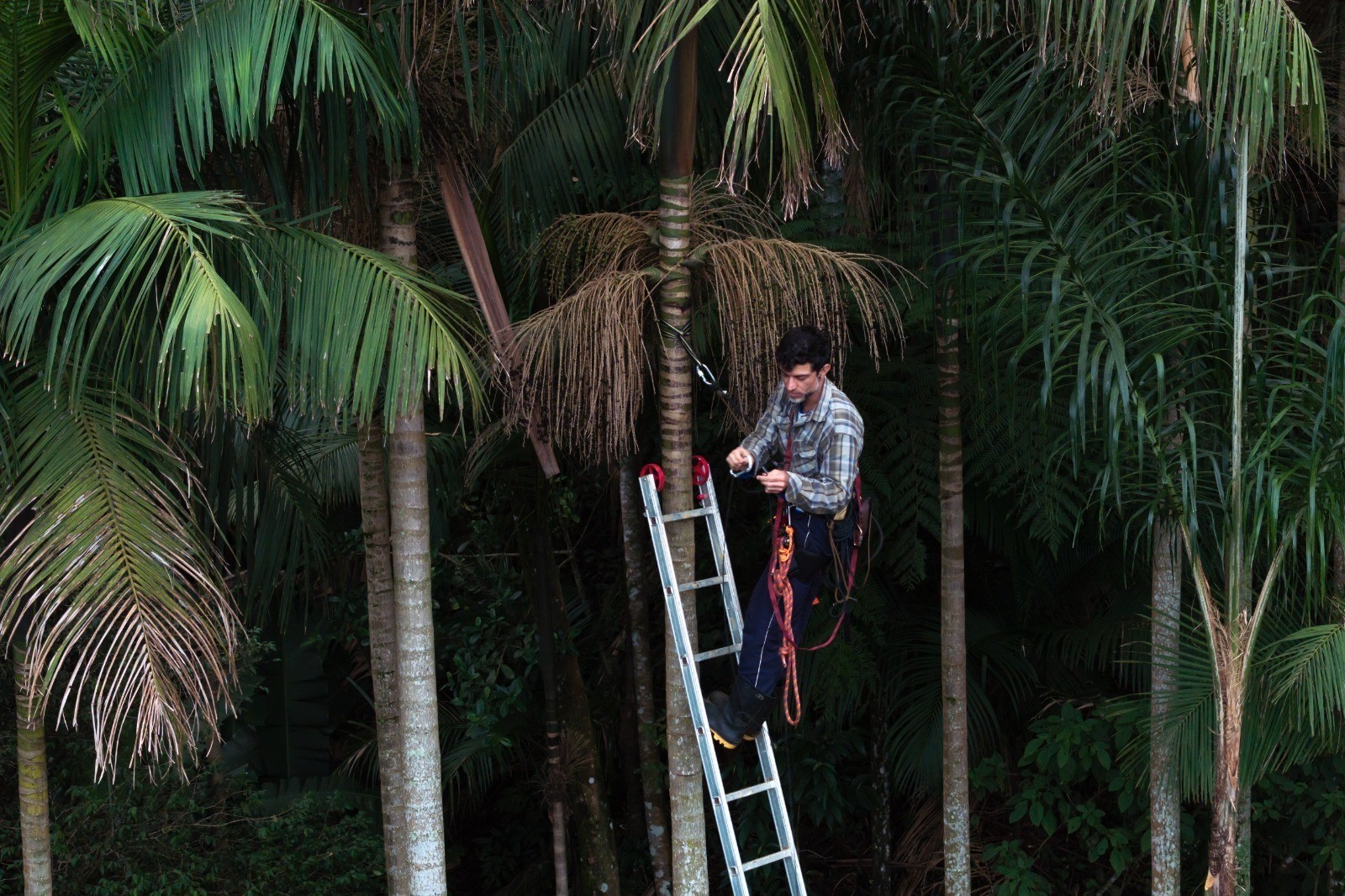 Você Não Tá Convidada pro Meu Bat Mitzvá!