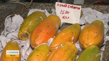 VÍDEOS: Bom Dia Cidade Sul de Minas de terça-feira, 15 de setembro de 2026