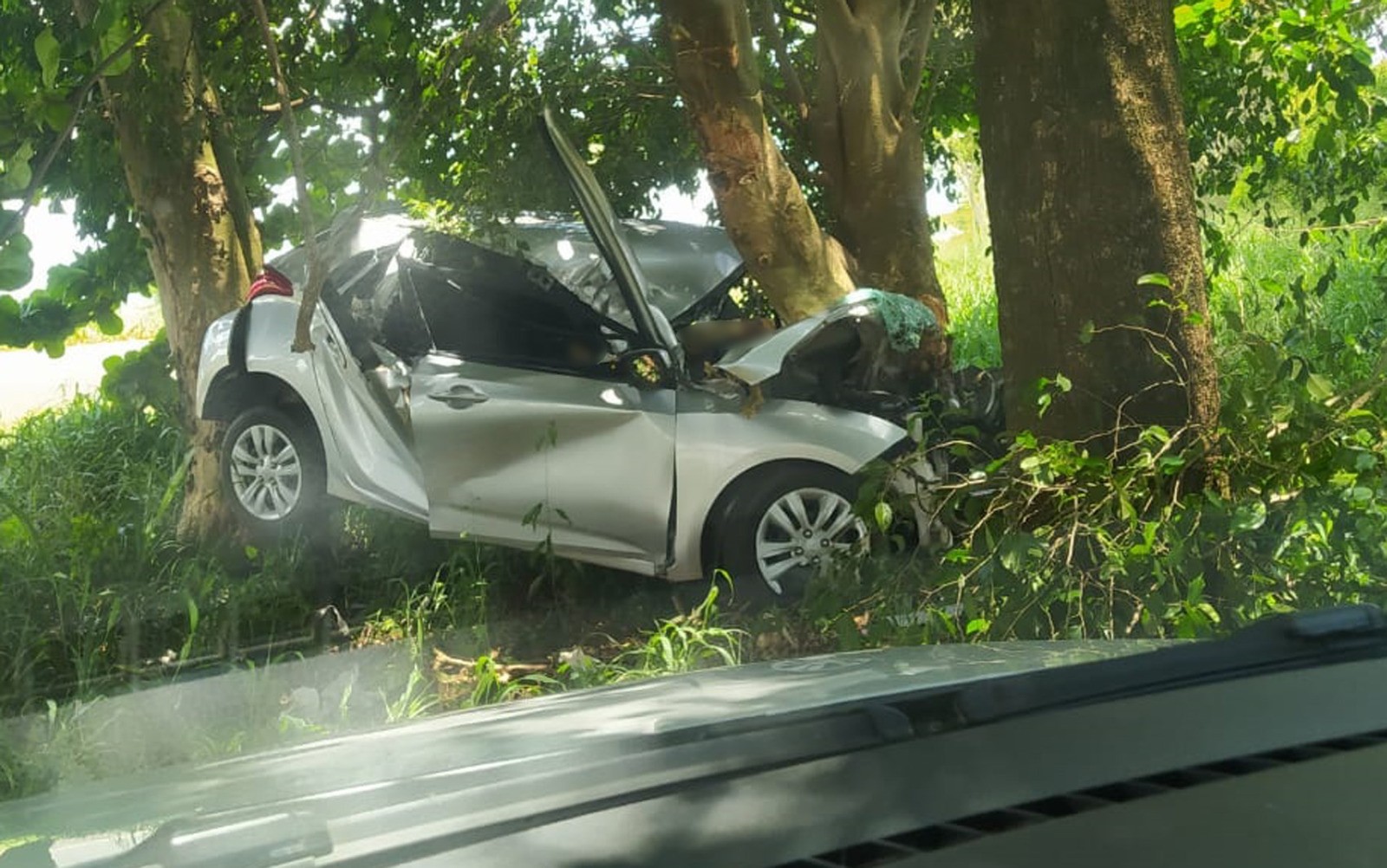 Homem morre após bater carro em árvore com colmeia próximo a Pirangi, SP