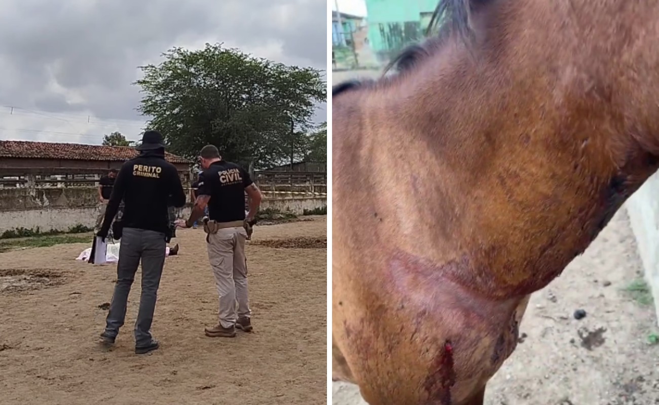 Homem é morto a tiros e cavalo é ferido na Feira do Gado em Caruaru