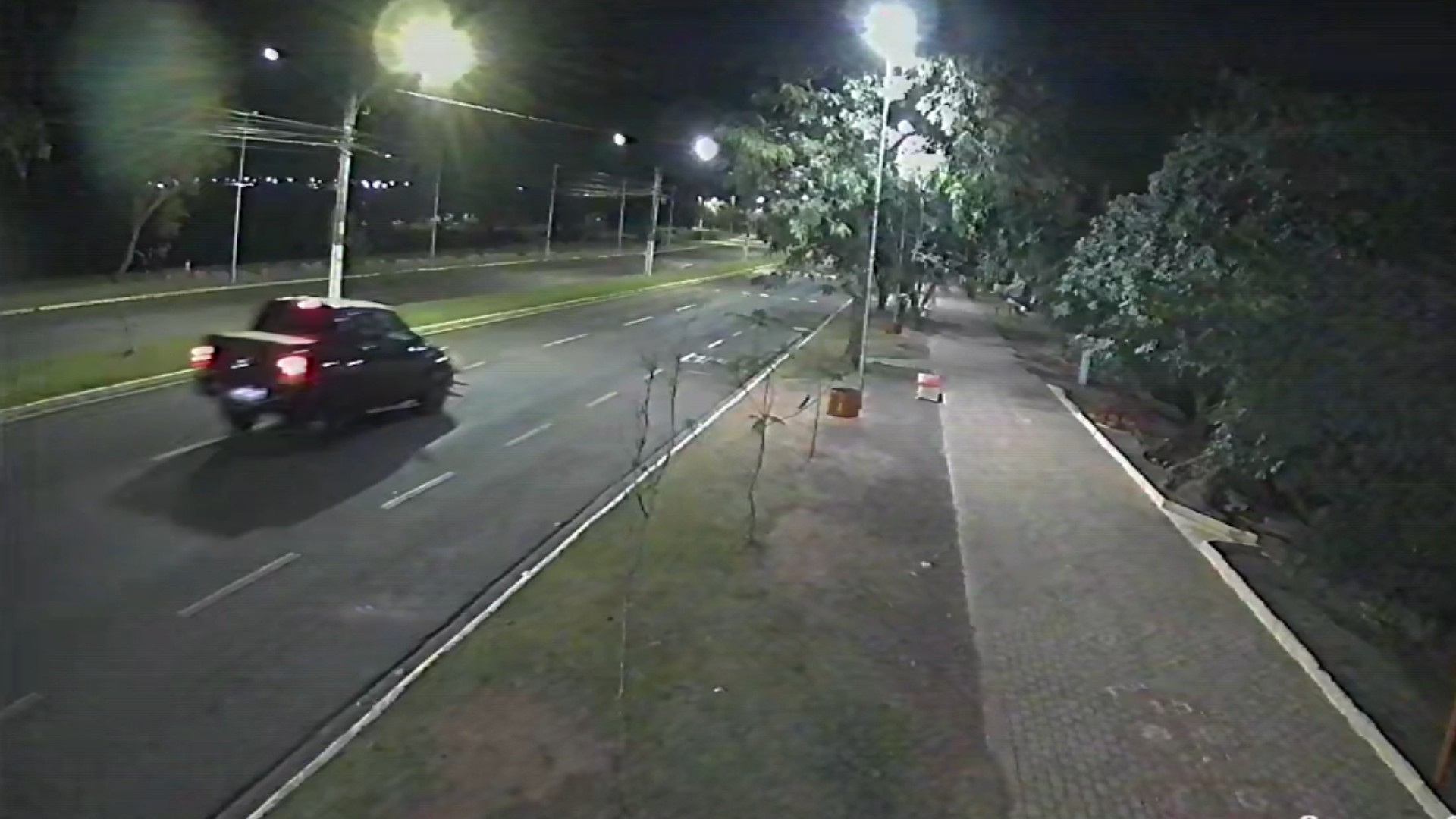 VÍDEO: capivaras são atropeladas por caminhonete em avenida de Ourinhos 