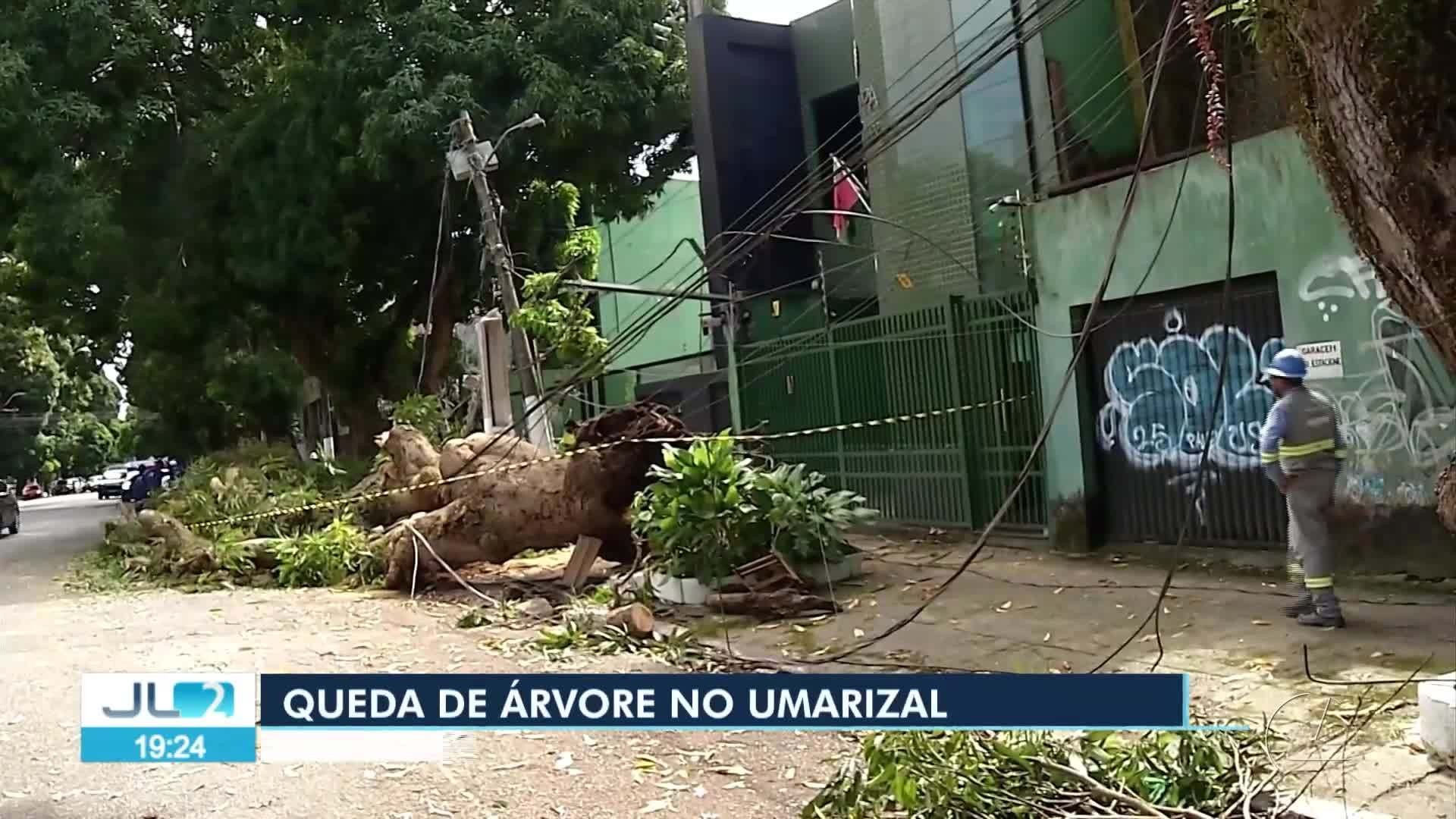 VÍDEOS: Jornal Liberal 2ª Edição de sábado, 7 de junho