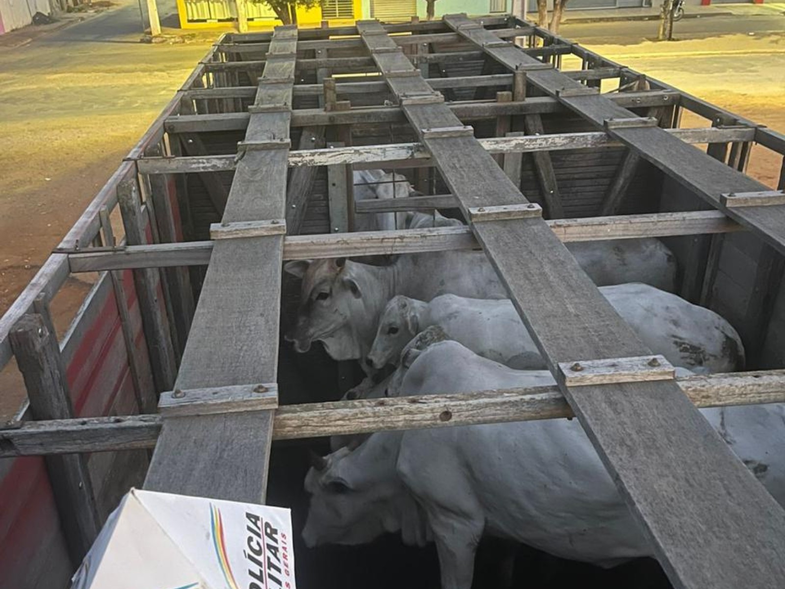 Suspeitos de furtarem bois de fazenda são presos após denúncia em Jaíba