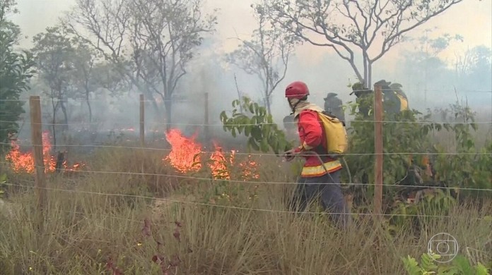 Chuva apaga incêndio na Apa Alter do Chão; imagens de satélite mostram  evolução das chamas, Santarém e Região