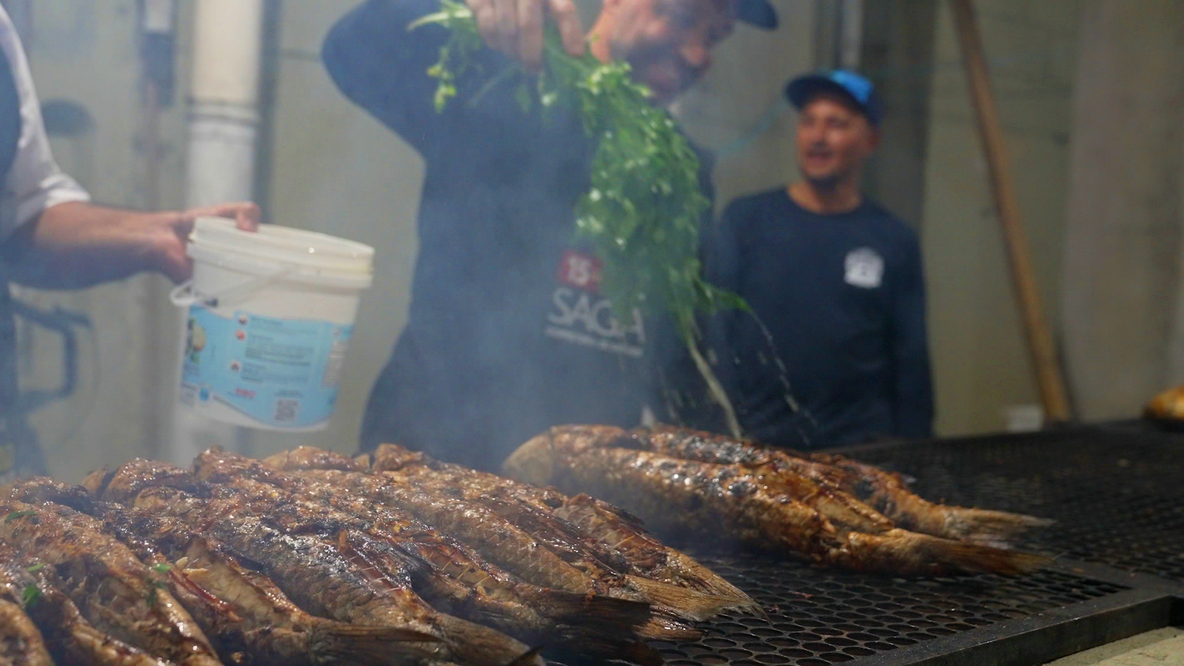 De 200 peixes a 24 toneladas: Festa da Tainha de Praia Grande tem receita guardada a sete chaves por pescador nordestino