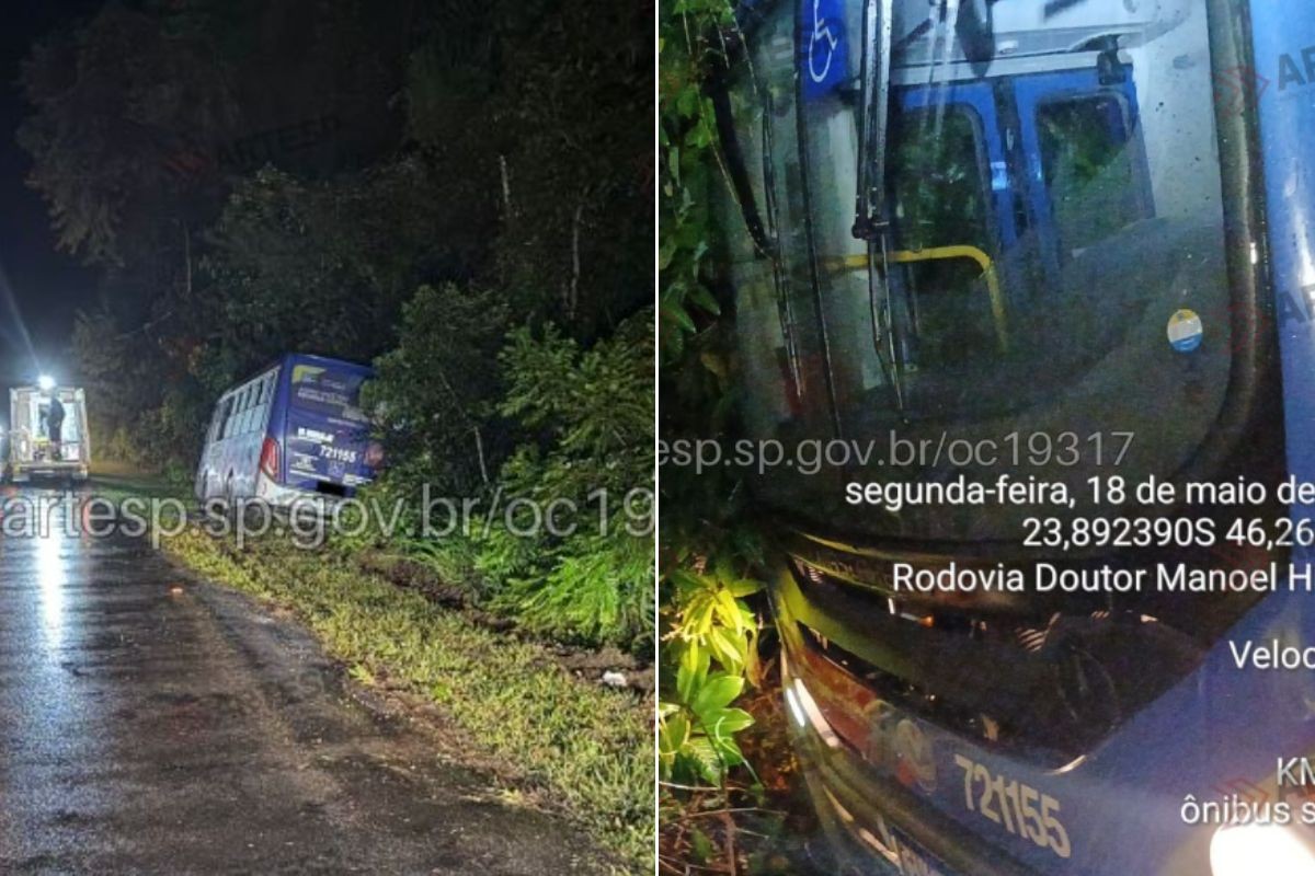 Motorista perde o controle e ônibus invade área de mata em rodovia no litoral de SP 