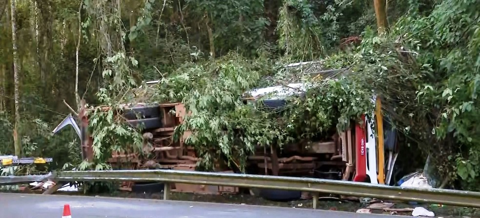 Acidente com ônibus de trabalhadores rurais deixa 2 mortos entre Águas da Prata (SP) e Poços de Caldas (MG) — Foto: Reprodução/EPTV