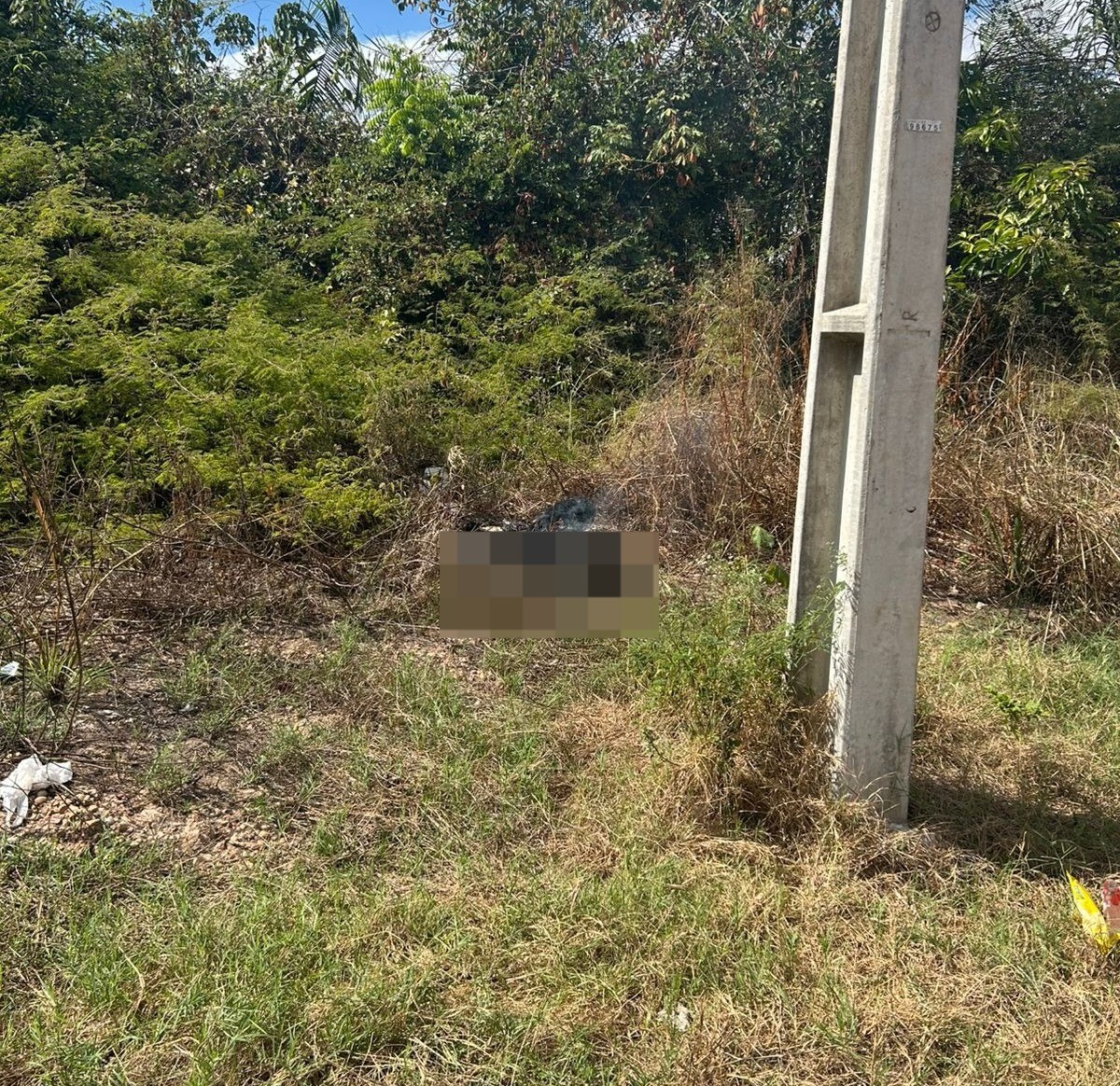 Corpo é encontrado carbonizado na Zona Leste de Teresina; Polícia Civil investiga