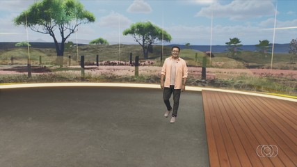 Confira os destaques do Jornal do Campo deste domingo (22)