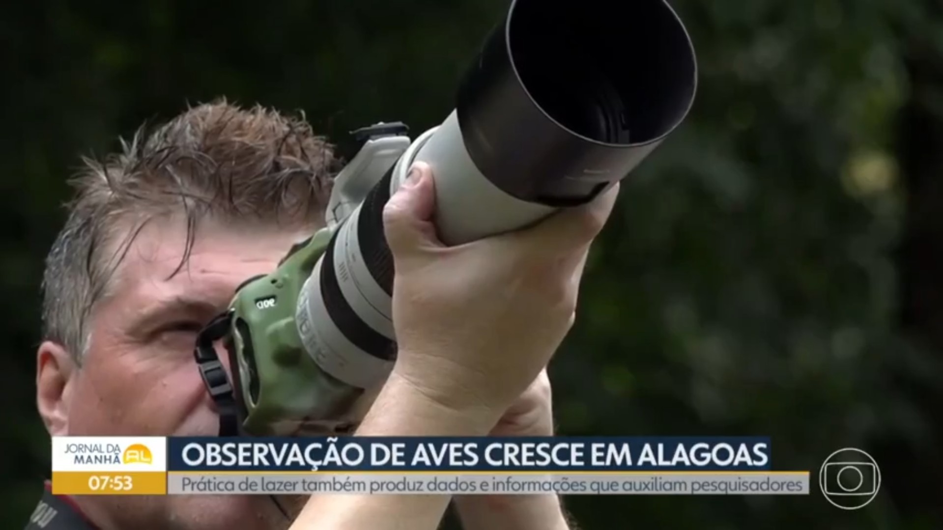 Observação de aves vira hobby e ajuda a preservar espécies ameaçadas em Alagoas