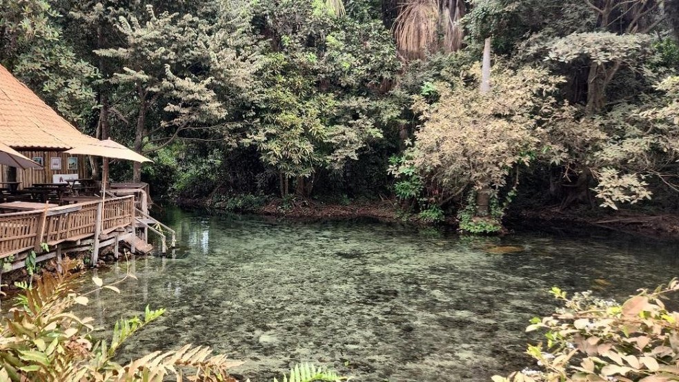 Balneário Estivado passa a ser considerada própria para banho após nova análise — Foto: Sema-MT