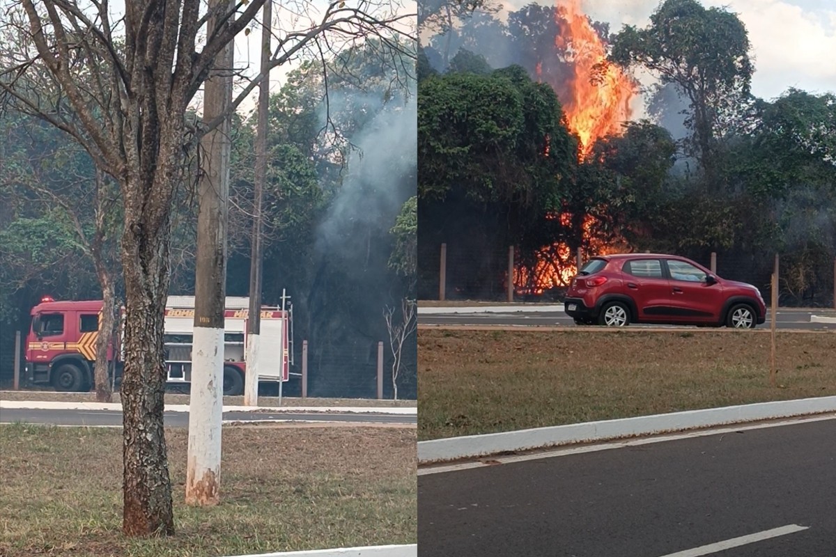 Chamas consomem área de mata no Parque dos Poderes em Campo Grande
