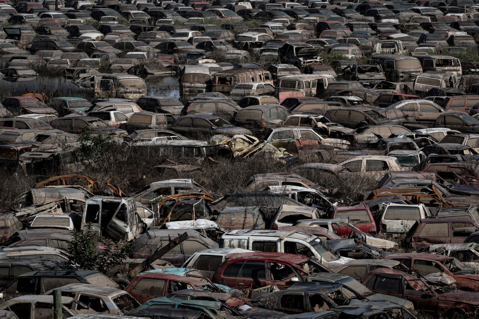 Carros abandonados após enchente começam a ser recolhidos em Porto Alegre