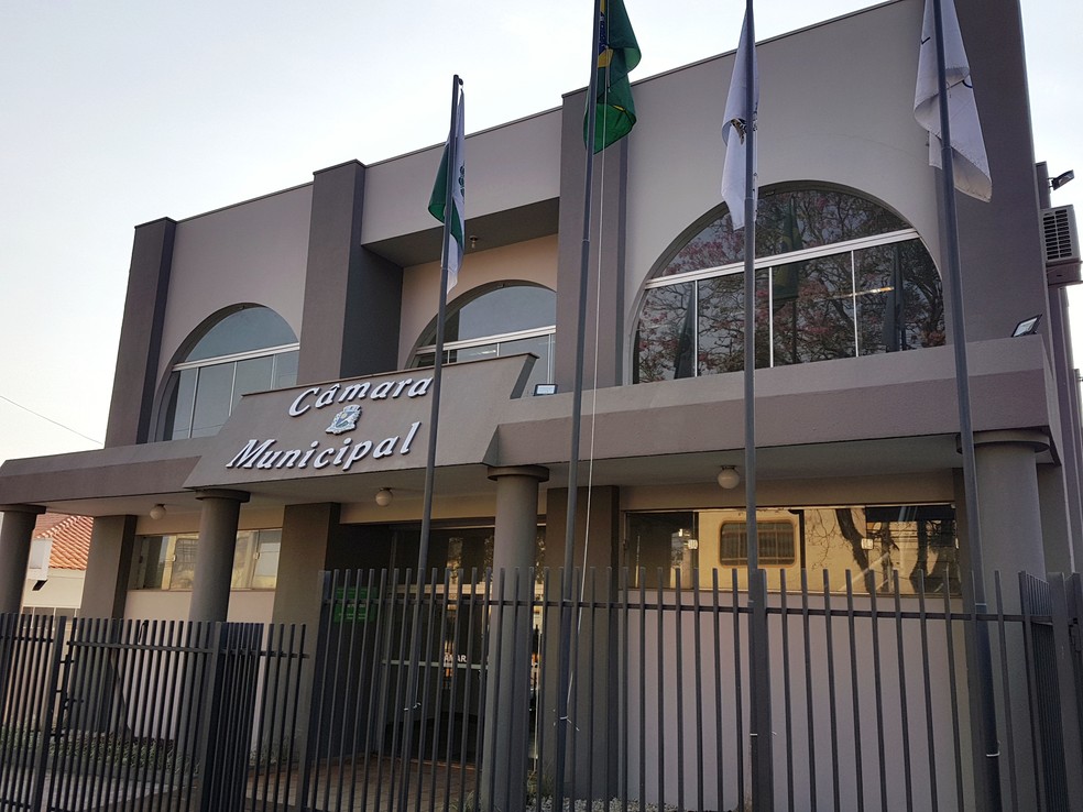 Câmara de Santo Antônio da Platina (PR) — Foto: Reprodução/Câmara Santo Antônio da Platina
