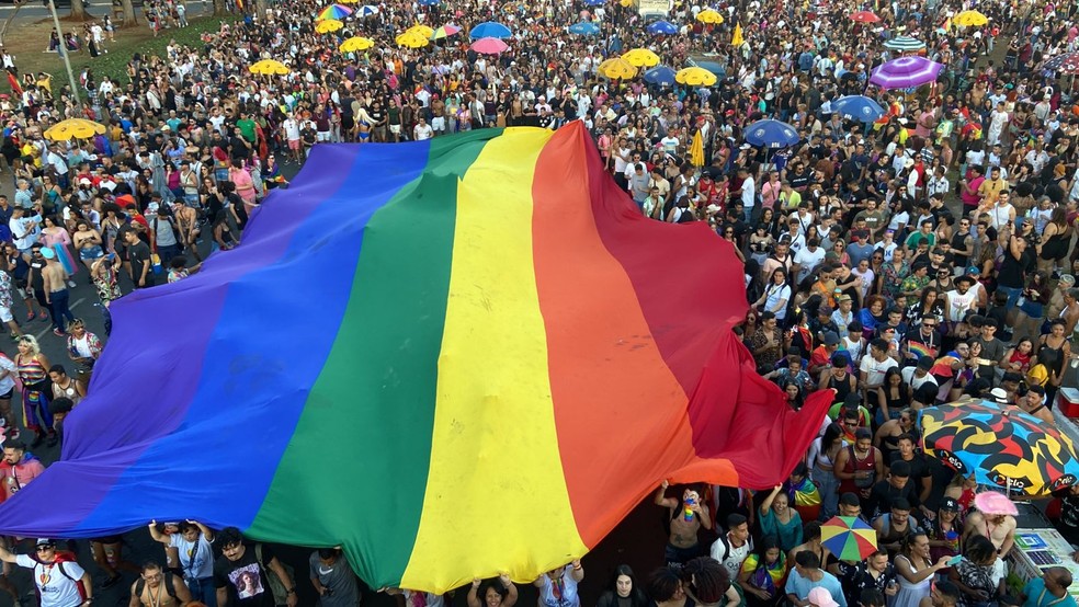 Participantes da Parada LGBTQIA+ balançam bandeira no gramado central da Esplanada dos Ministérios, em Brasília — Foto: Danilo Moreira/TV Globo