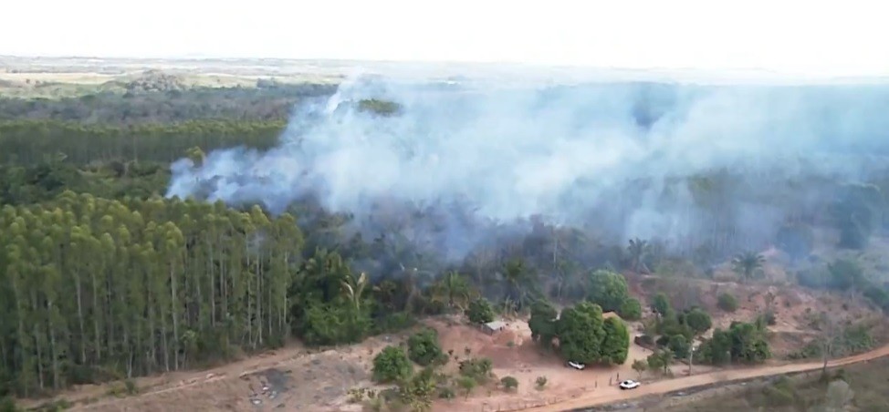 Incêndios atingem plantações de açaí e de grãos no Maranhão