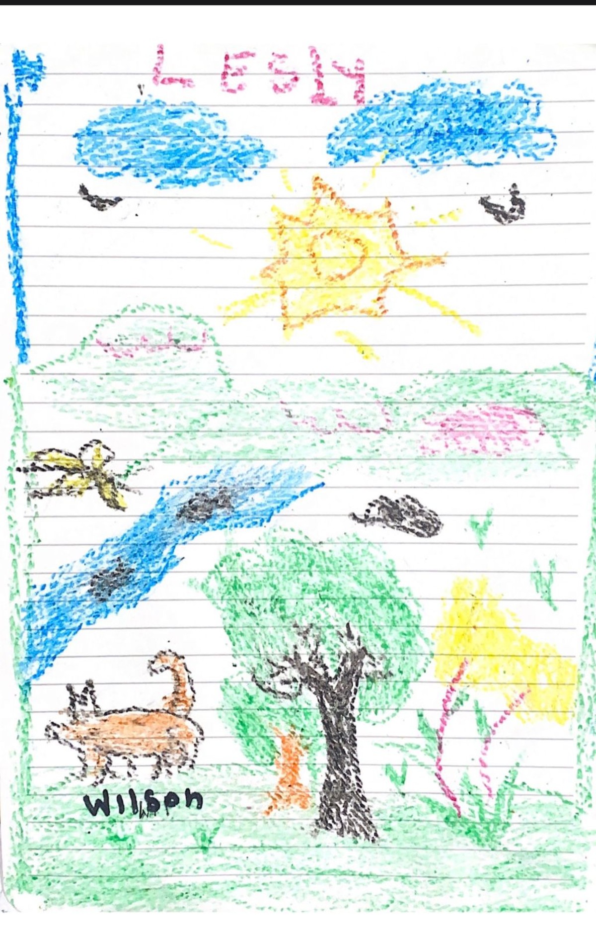 Militares suspendem buscas por cão Wilson, que ajudou a procurar crianças desaparecidas após queda de avião na Colômbia