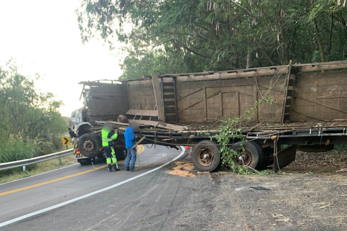 Carreta carregada com bois tomba em rodovia de Agudos