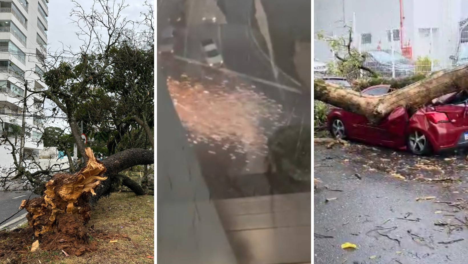 Região registra ventos de até 99 km/h, quedas de árvores, explosão de poste e mais estragos; veja VÍDEOS