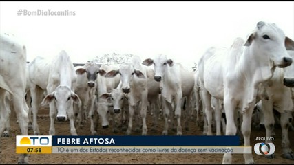 Tocantins entra para lista de estados reconhecidos como livres da febre aftosa sem vacina