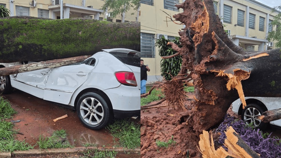 1 de 3
&Aacute;rvore atinge carros durante temporal em Promiss&atilde;o (SP) &mdash; Foto: Defesa Civil/Divulga&ccedil;&atilde;o