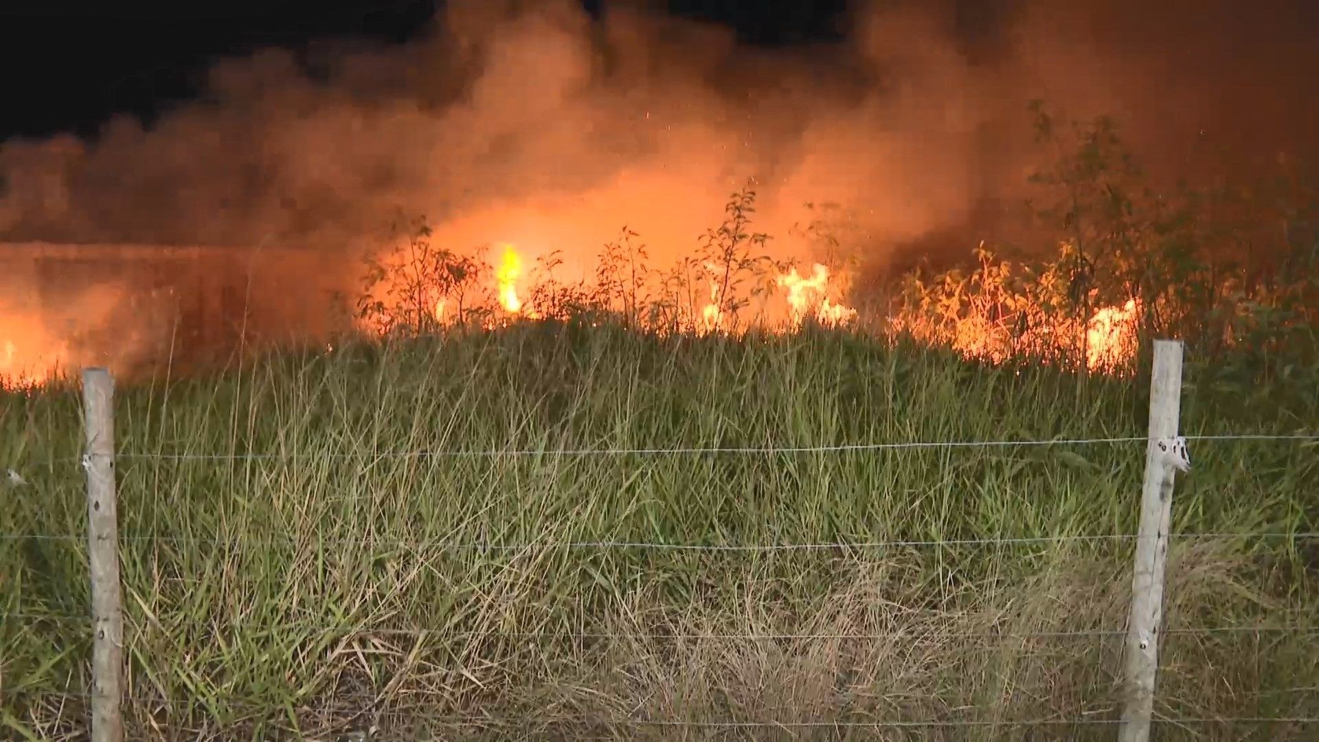 Fogo atinge mata na Praia da Baleia, na Serra, e assusta moradores; cidade registrou três incêndios