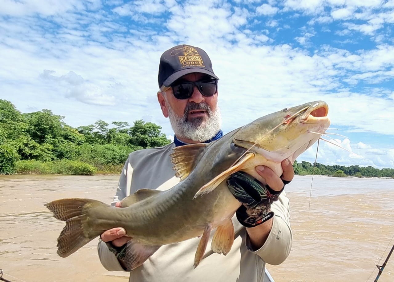 Peixe da espéscie piraíba encontrado nos Rios da Amazônia e do Pantanal — Foto: Reprodução/Arquivo Pessoal