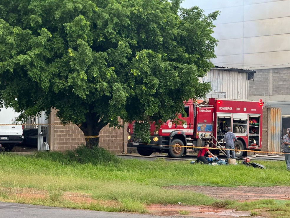 Inc�ndio atinge dep�sito de insumos em S�o Jos� do Rio Preto (SP) � Foto: TV TEM / Gridania Brait