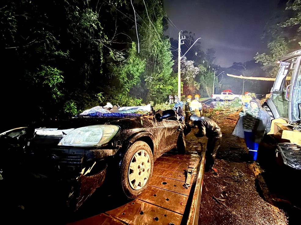 Carro onde estava Mauro Perfeito da Silva foi atingido por árvore em Sapucaia do Sul — Foto: Jefferson Botega/Agência RBS