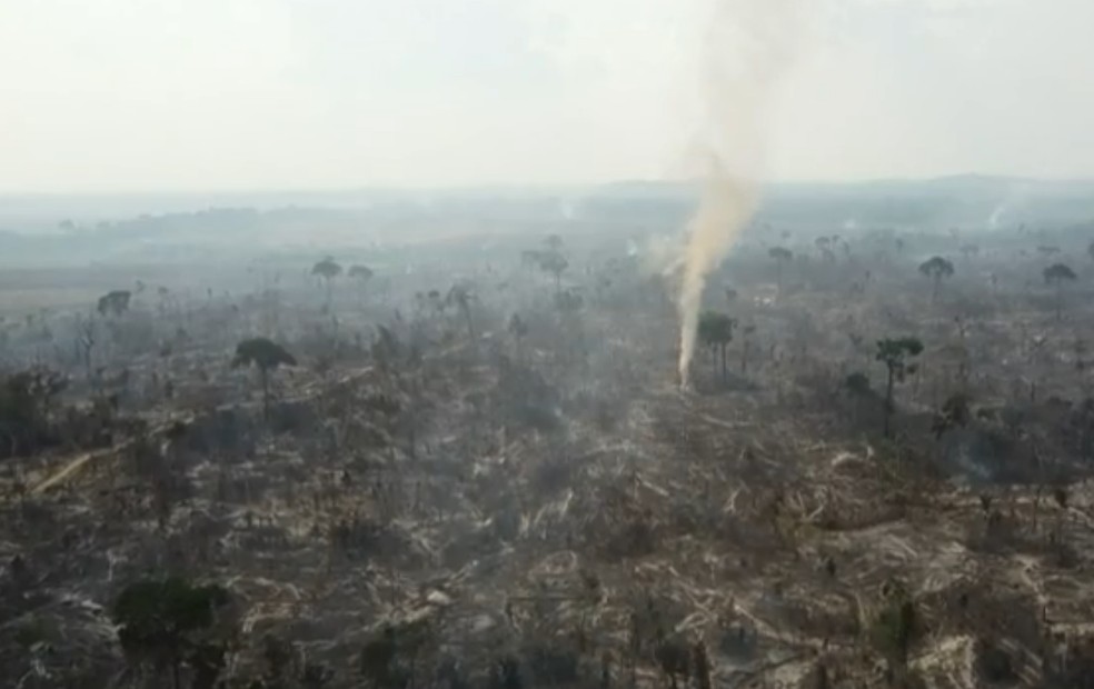 Incêndios destroem florestas no Pará. — Foto: Reprodução / TV Globo