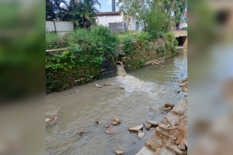 Morador flagra despego de esgoto sem tratamento em trecho do córrego que passa aos fundos da Capela João de Camargo, em Sorocaba (SP) — Foto: Arquivo Pessoal