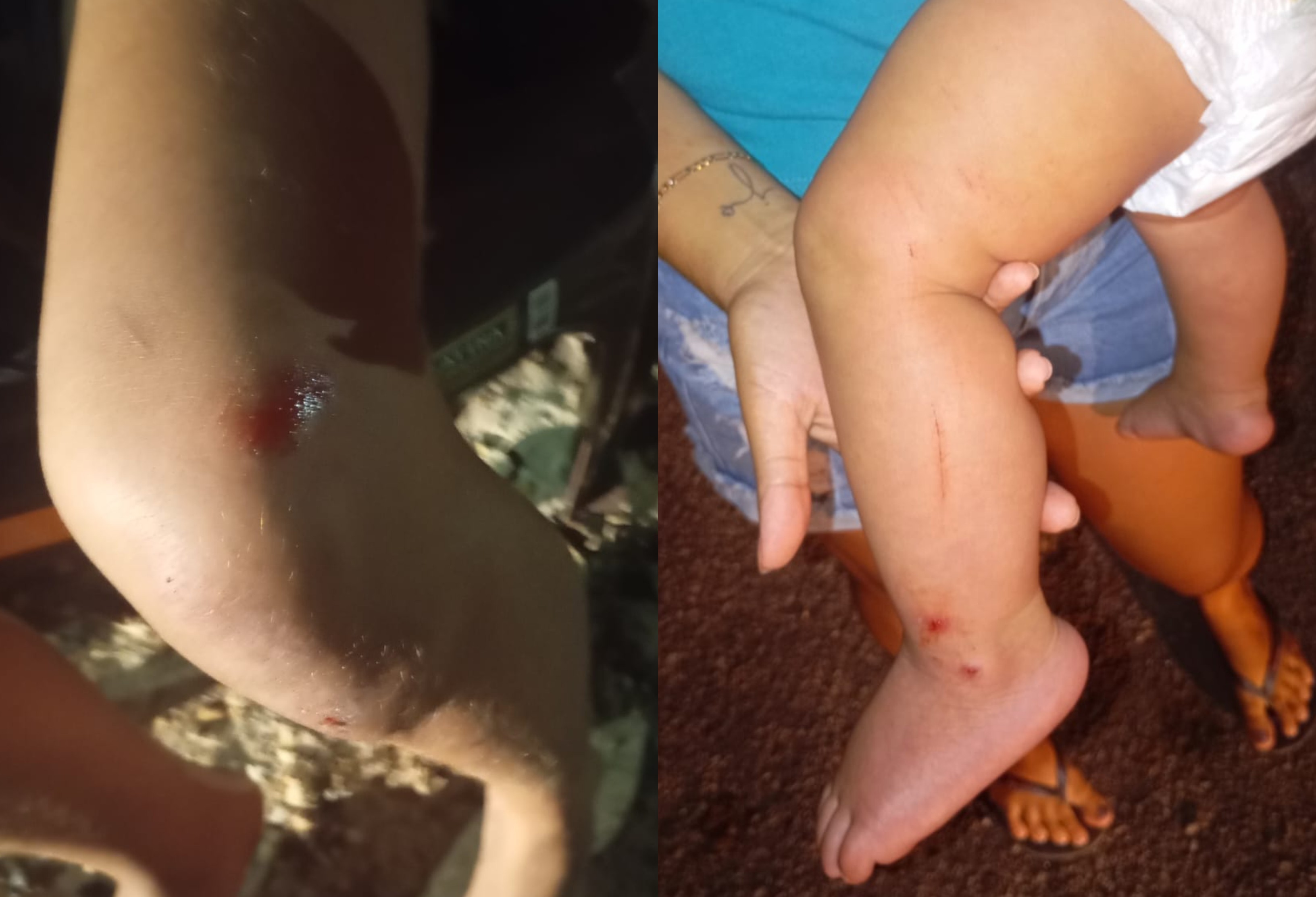 Homem agride ex-companheira e o próprio filho, de 9 meses, com arma no Sul de Roraima