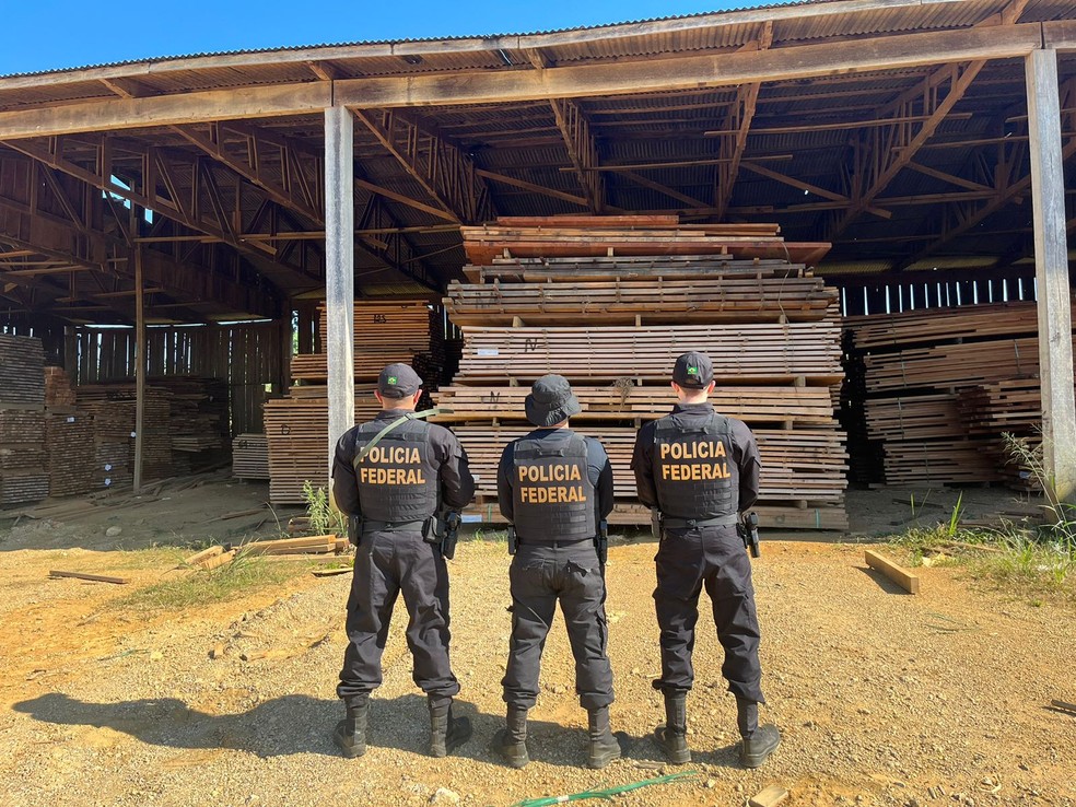 Operação Uru Praesidium realizada pela Polícia Federal em RO — Foto: Polícia Federal/Divulgação