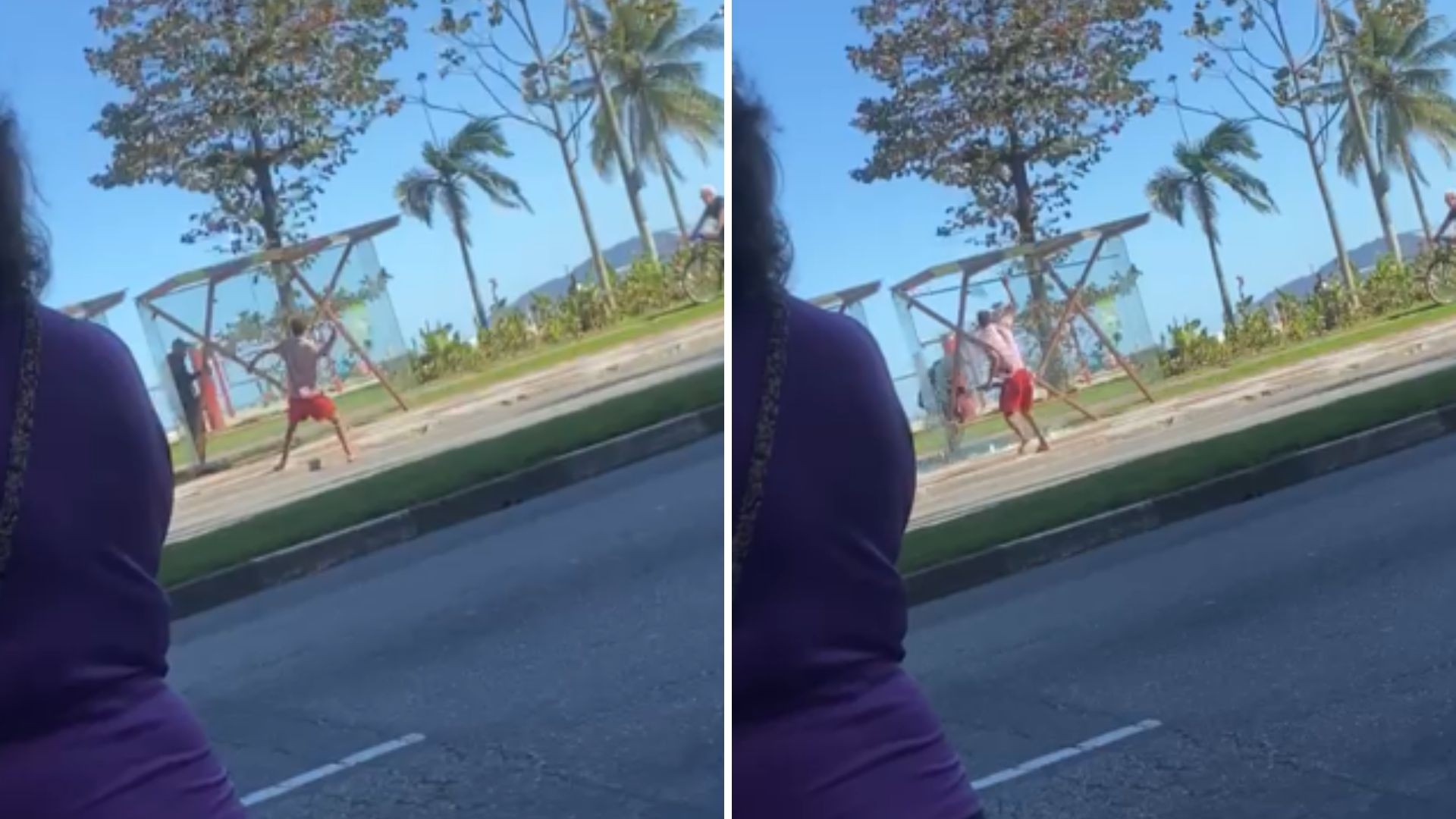Homem destrói ponto de ônibus durante agressão e foge em coletivo, em Santos; VÍDEO