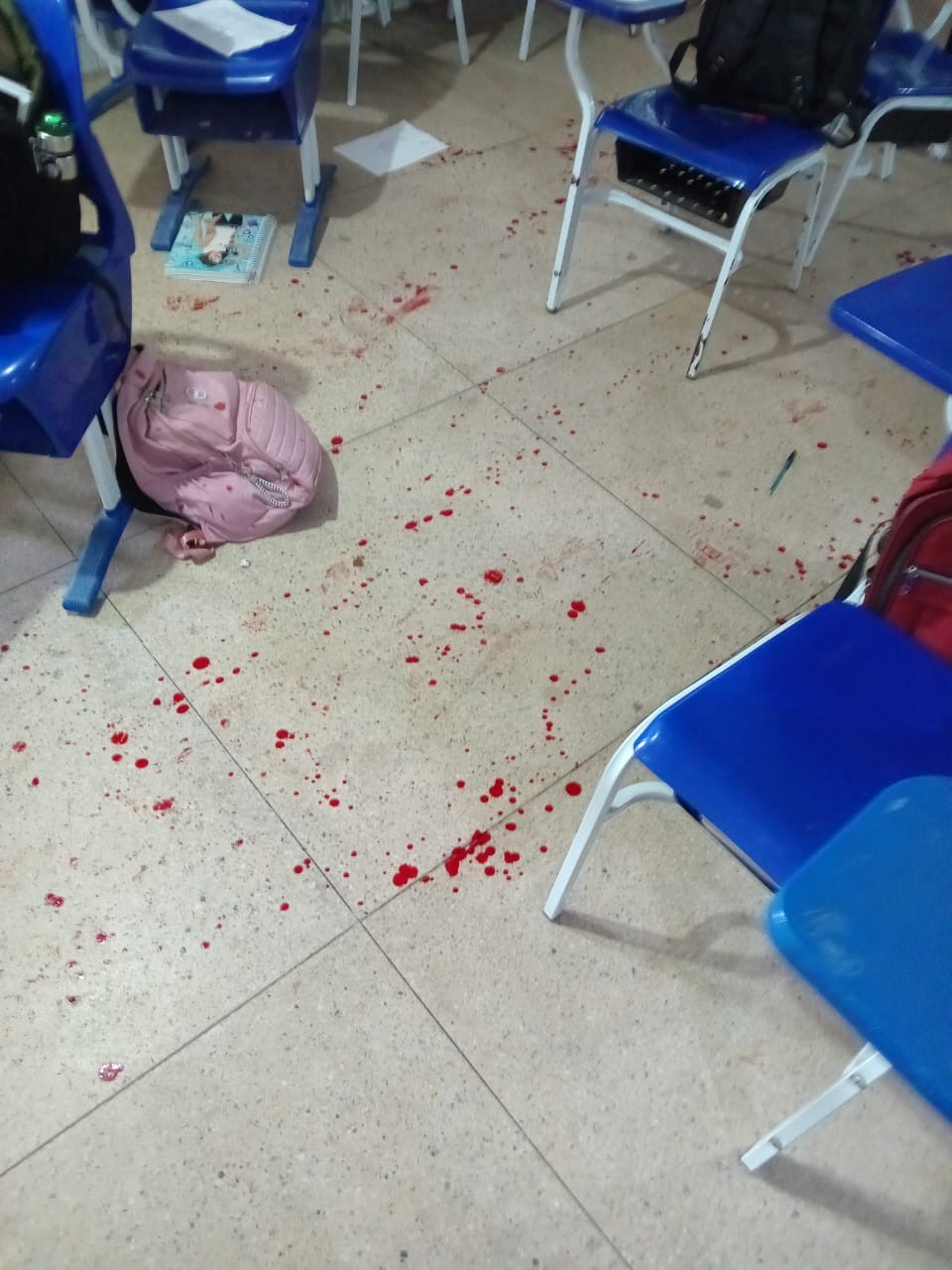 Justiça determina internação provisória de adolescente que atirou em estudante dentro de escola em Igaci