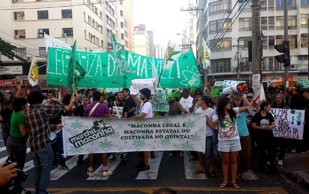 Manifestantes realizam Marcha da Maconha no Centro de Campinas em 2014 — Foto: Giulia Cirilo/G1 Campinas