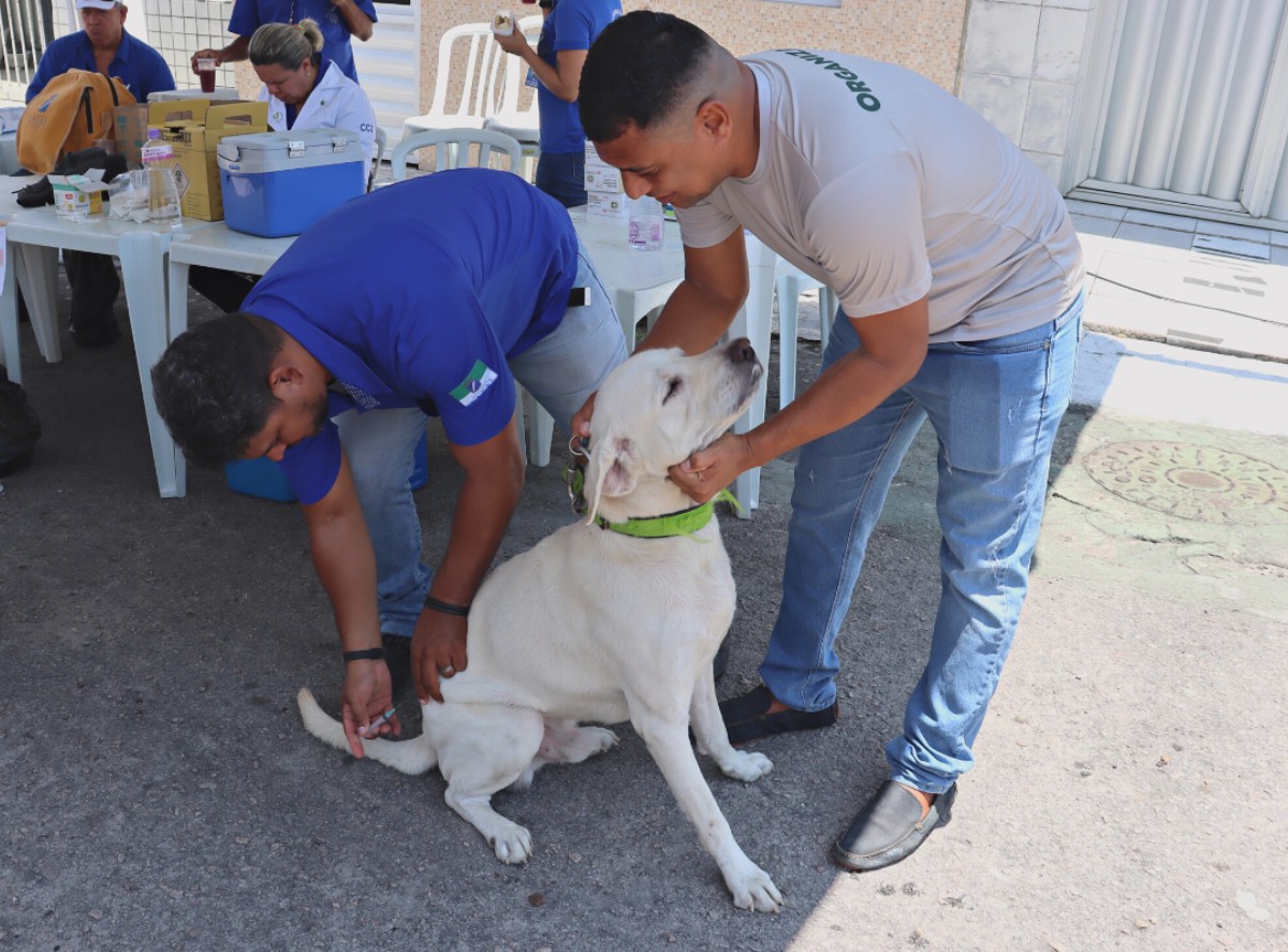 Você Não Tá Convidada pro Meu Bat Mitzvá!