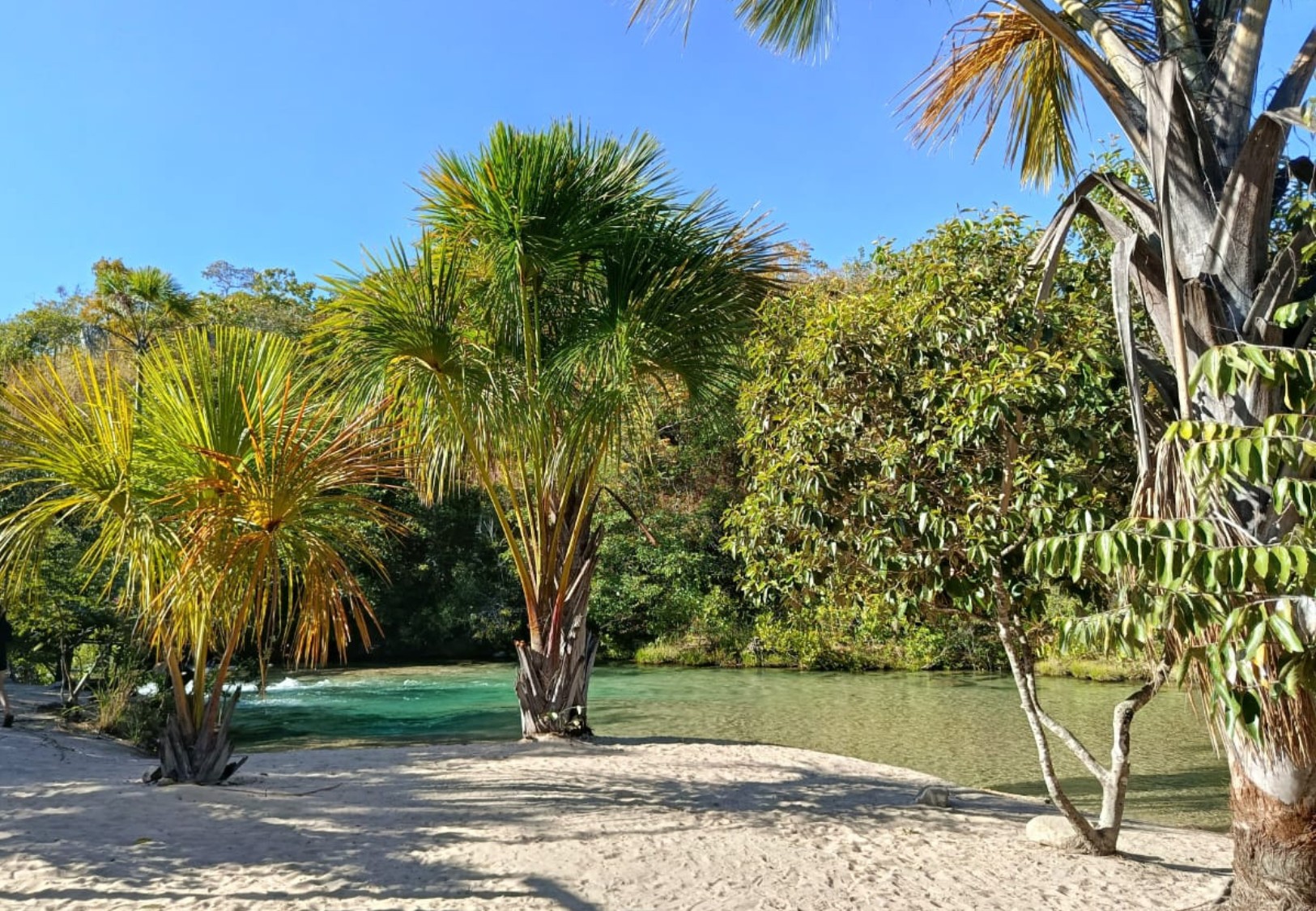 Saiba como chegar, quanto custa e o que levar para o oásis no meio do cerrado no Tocantins