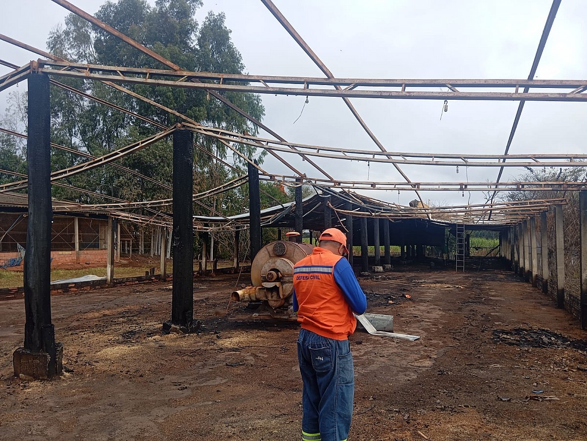 Granja de Avaré atingida por incêndio que matou 17 mil pintinhos teve 70% da área afetada, diz Defesa Civil 