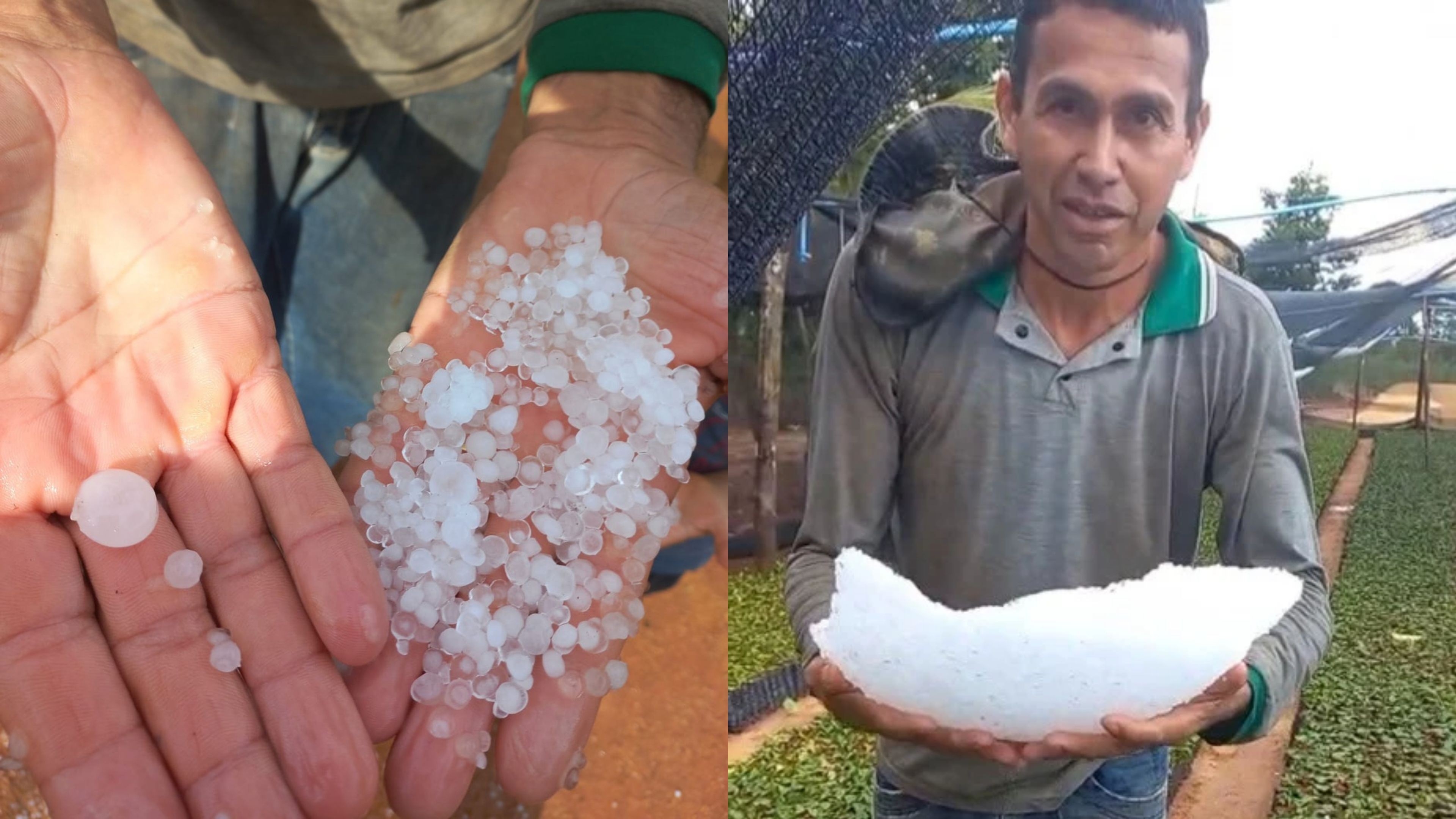 Cafeicultor mostra grande pedaço de granizo acumulado após temporal em RO; veja vídeo