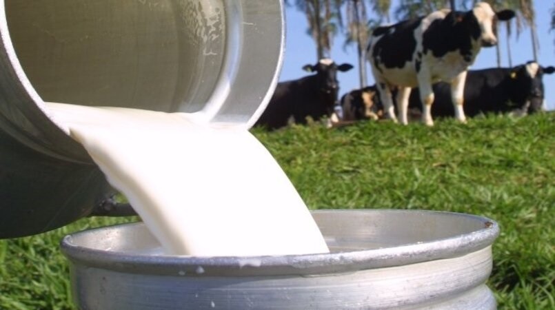 Produção de leite do Piauí movimentou R$ 222 milhões em 2024