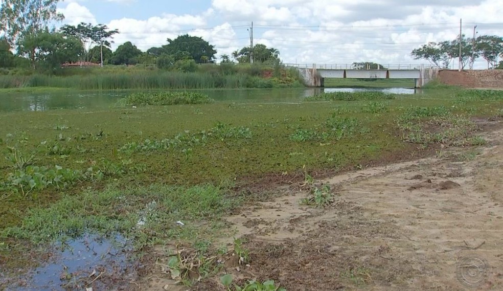 Aguapés Futebol Clube